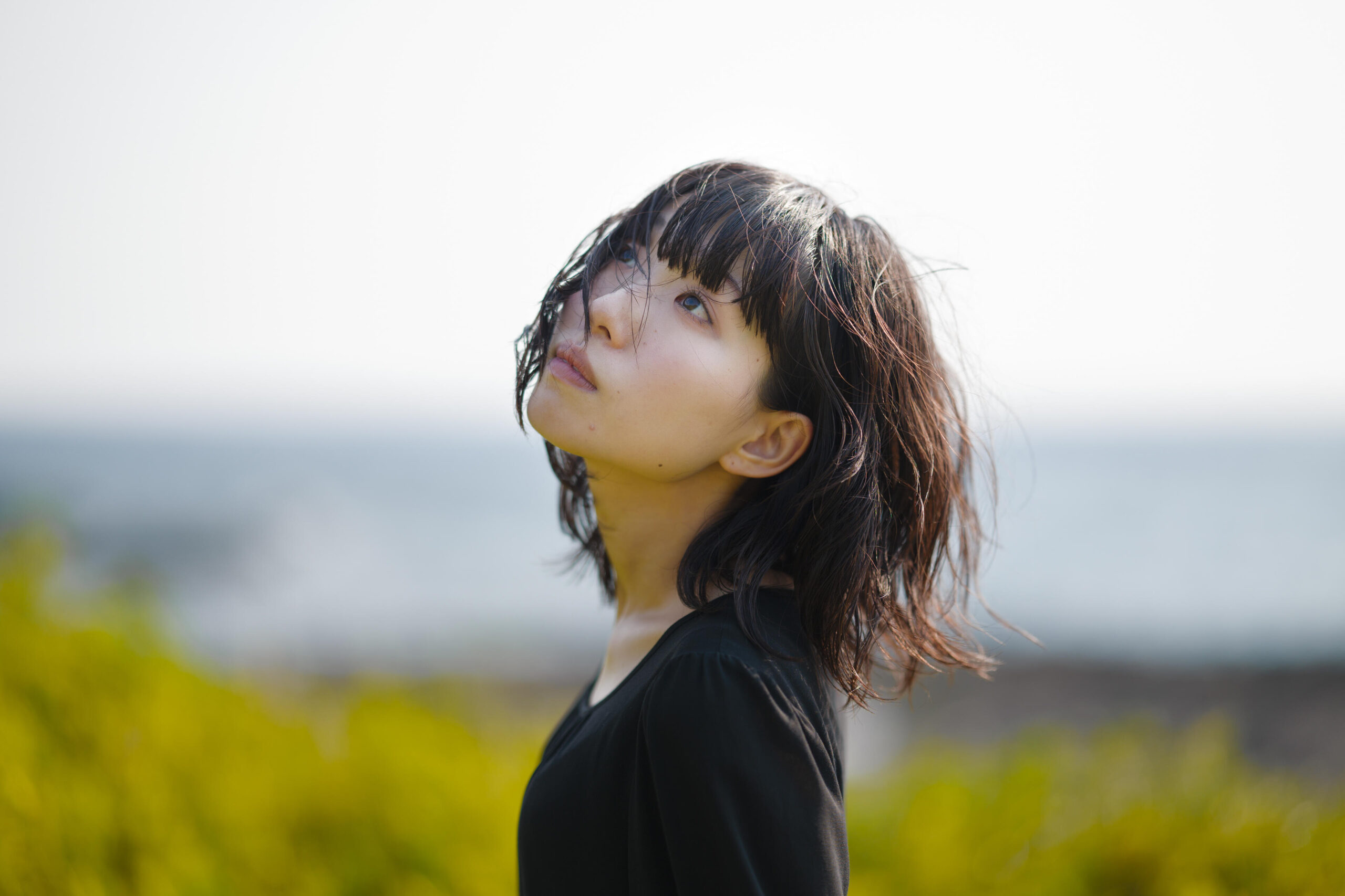 Photo Sample